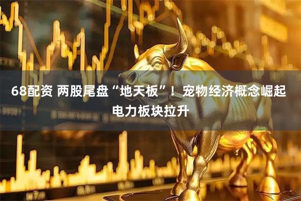 68配资 两股尾盘“地天板”！宠物经济概念崛起 电力板块拉升