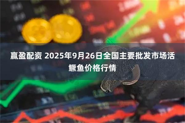 赢盈配资 2025年9月26日全国主要批发市场活鳜鱼价格行情