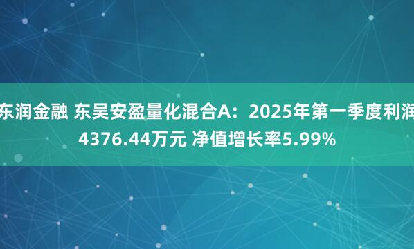 东润金融 东吴安盈量化混合A：2025年第一季度利润4376.44万元 净值增长率5.99%