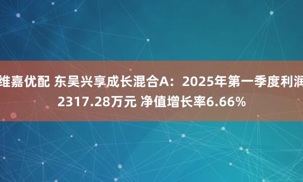 维嘉优配 东吴兴享成长混合A：2025年第一季度利润2317.28万元 净值增长率6.66%