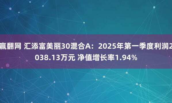 赢翻网 汇添富美丽30混合A：2025年第一季度利润2038.13万元 净值增长率1.94%