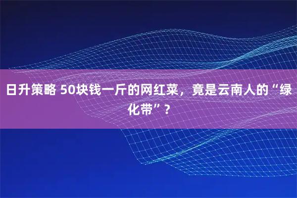 日升策略 50块钱一斤的网红菜,竟是云南人的“绿化带”?