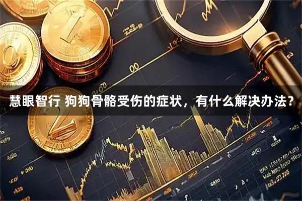 慧眼智行 狗狗骨骼受伤的症状，有什么解决办法？